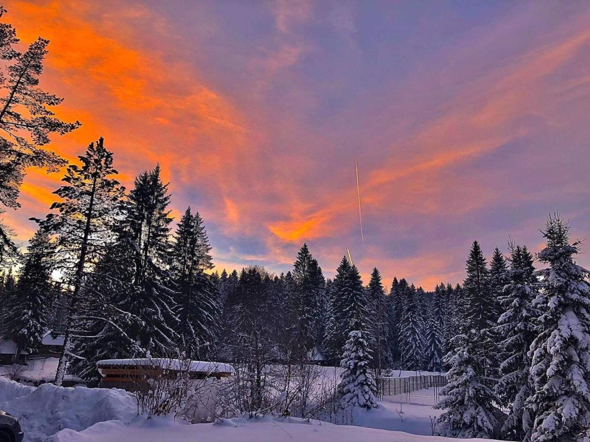 Chalet Dren Lux - Banjska Stena