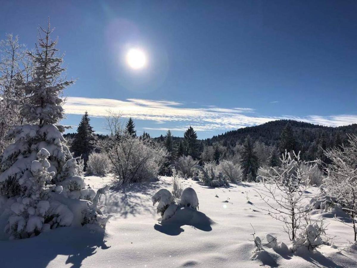 Dren Lux - Banjska Stena Chalet Perucac